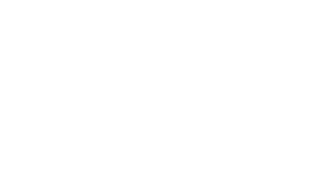 Inicio stunts4action